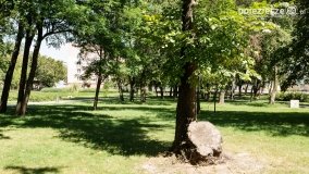 Park Trzech Kultur - zdjęcie 24