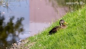 Park Trzech Kultur - zdjęcie 18