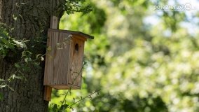 Park Trzech Kultur - zdjęcie 16