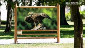 Park Trzech Kultur - zdjęcie 9