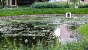 Park Trzech Kultur - zdjęcie 5