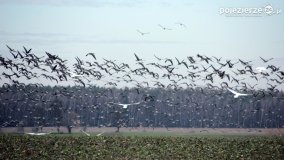 Przyroda na zdjęciach Anny Woźniak - zdjęcie 32