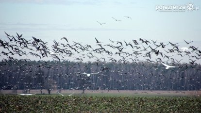 Przyroda na zdjęciach Anny Woźniak