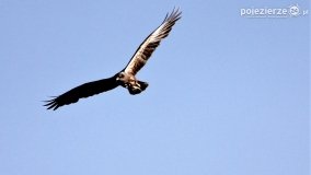 Przyroda na zdjęciach Anny Woźniak - zdjęcie 31