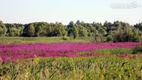 Przyroda na zdjęciach Anny Woźniak - zdjęcie 29