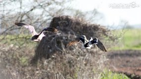 Przyroda na zdjęciach Anny Woźniak - zdjęcie 27