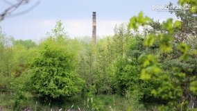 Przyroda na zdjęciach Anny Woźniak - zdjęcie 26