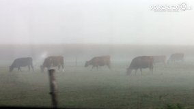 Przyroda na zdjęciach Anny Woźniak - zdjęcie 25