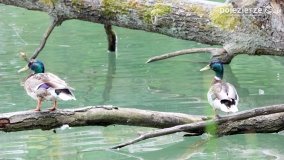 Przyroda na zdjęciach Anny Woźniak - zdjęcie 22