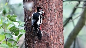 Przyroda na zdjęciach Anny Woźniak - zdjęcie 19