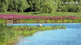 Przyroda na zdjęciach Anny Woźniak - zdjęcie 17