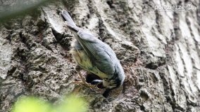 Przyroda na zdjęciach Anny Woźniak - zdjęcie 16