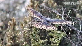 Przyroda na zdjęciach Anny Woźniak - zdjęcie 15