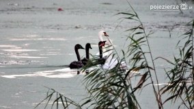 Przyroda na zdjęciach Anny Woźniak - zdjęcie 13