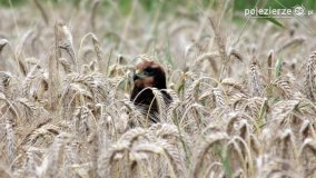 Przyroda na zdjęciach Anny Woźniak - zdjęcie 12