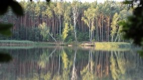 Przyroda na zdjęciach Anny Woźniak - zdjęcie 11