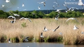 Przyroda na zdjęciach Anny Woźniak - zdjęcie 10