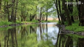 Przyroda na zdjęciach Anny Woźniak - zdjęcie 8