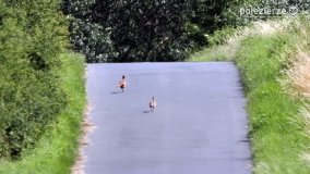 Przyroda na zdjęciach Anny Woźniak - zdjęcie 7