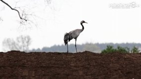 Przyroda na zdjęciach Anny Woźniak - zdjęcie 6