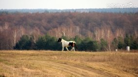 Przyroda na zdjęciach Anny Woźniak - zdjęcie 5
