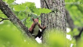 Przyroda na zdjęciach Anny Woźniak - zdjęcie 4