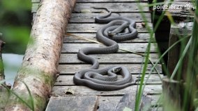 Przyroda na zdjęciach Anny Woźniak - zdjęcie 2