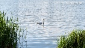 Spacerem wokół Wenecji - zdjęcie 27