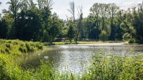 Spacerem wokół Wenecji - zdjęcie 25