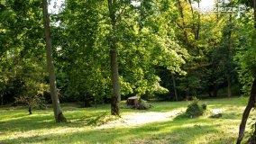 Spacerem wokół Wenecji - zdjęcie 16