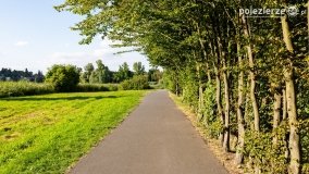 Spacerem wokół Wenecji - zdjęcie 15