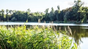 Spacerem wokół Wenecji - zdjęcie 8