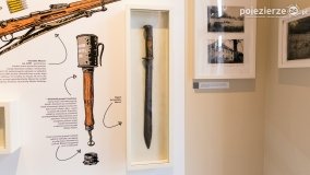 Dom Powstańca Wielkopolskiego - zdjęcie 9