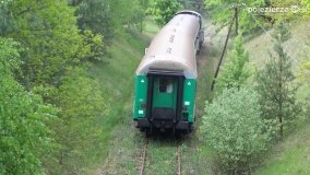 Koleją przez Puszczę Zielonkę... Z Gniezna do Sławy Wlkp. - zdjęcie 37