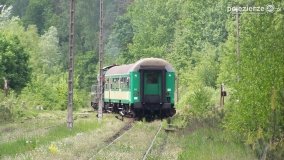 Koleją przez Puszczę Zielonkę... Z Gniezna do Sławy Wlkp. - zdjęcie 29