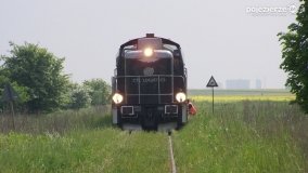 Koleją przez Puszczę Zielonkę... Z Gniezna do Sławy Wlkp. - zdjęcie 12