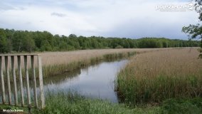 Mosty na Małej Wełnie - zdjęcie 72