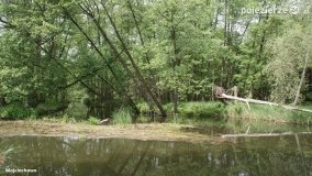 Mosty na Małej Wełnie - zdjęcie 71