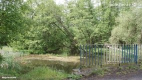 Mosty na Małej Wełnie - zdjęcie 68