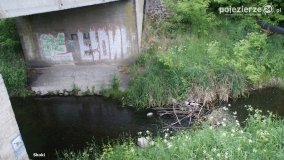 Mosty na Małej Wełnie - zdjęcie 60