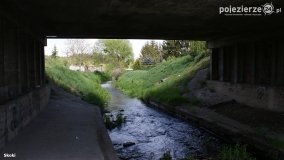 Mosty na Małej Wełnie - zdjęcie 55