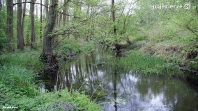 Mosty na Małej Wełnie - zdjęcie 40