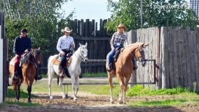 Zlot Aut Amerykańskich i Zabytkowych - zdjęcie 10