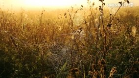 Czas na rykowisko... - zdjęcie 11