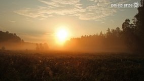 Czas na rykowisko... - zdjęcie 5