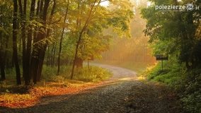 Czas na rykowisko... - zdjęcie 4