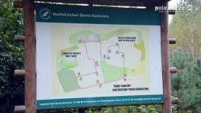 Członkowie Fundacji Historycznej odkrywali sekrety Bornego Sulinowa - zdjęcie 42