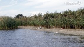 Rejs po jeziorze Kłeckim - zdjęcie 27