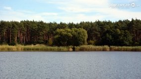 Rejs po jeziorze Kłeckim - zdjęcie 22