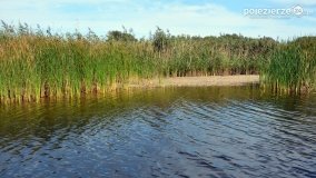 Rejs po jeziorze Kłeckim - zdjęcie 12